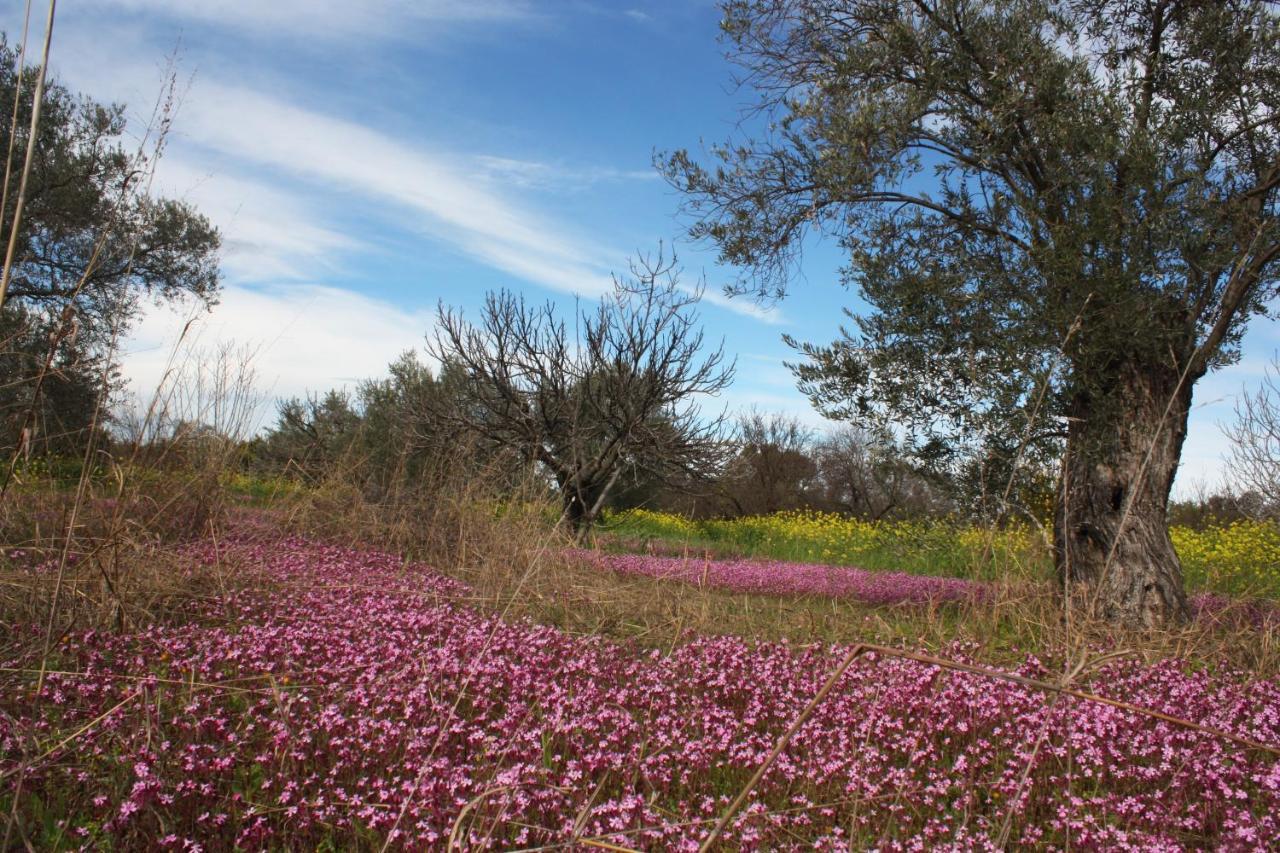 Aperanti Agrotourism Bed and Breakfast Πέρα Ορεινής Εξωτερικό φωτογραφία